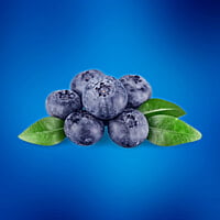 Blueberry Fruit Concentrate Case