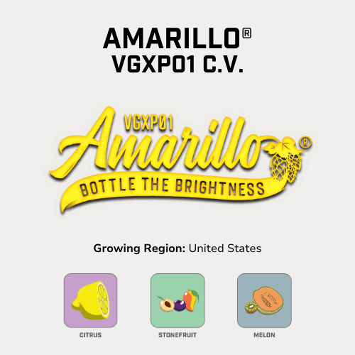 Amarillo® T35 Hops