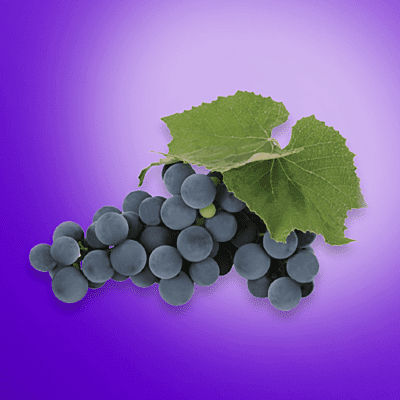 Grape (NY Concord Grape) Concentrate