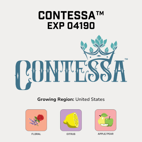 Contessa™ Hops