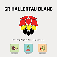 GR Hallertau Blanc Hops