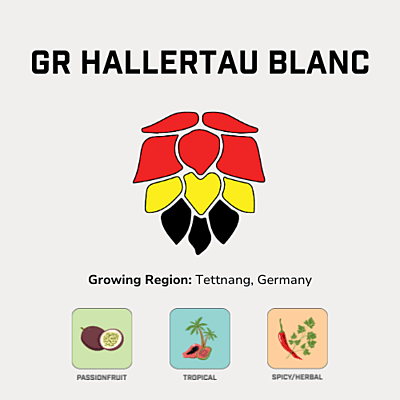 GR Hallertau Blanc Hops