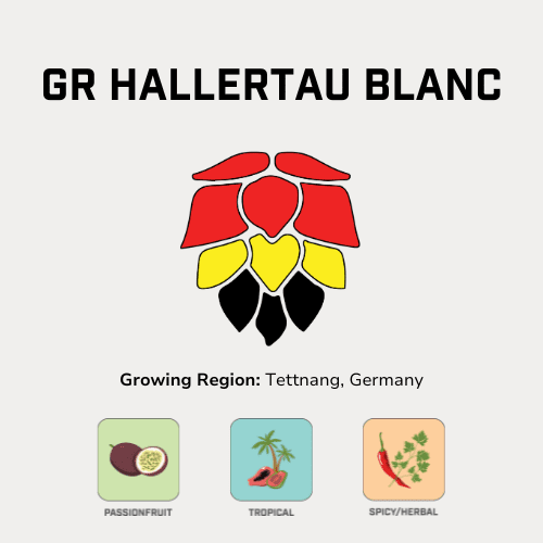 GR Hallertau Blanc Hops