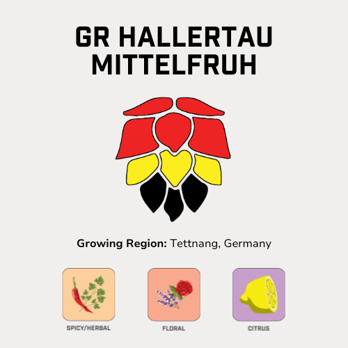 GR Hallertau Mittelfruh Hops