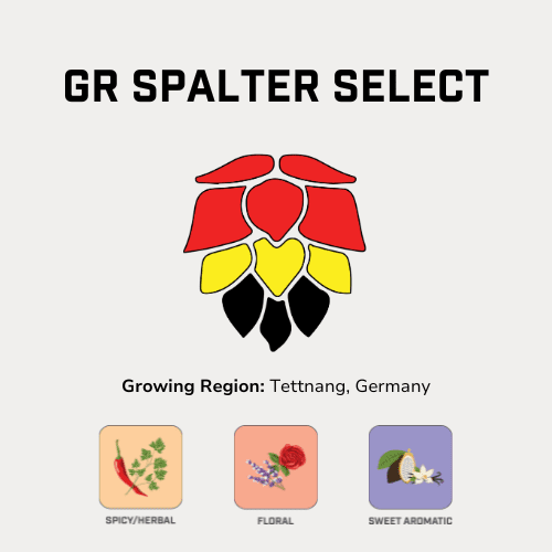 GR Spalter Select Hops