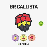 GR Callista GR Callista