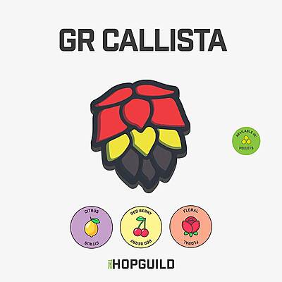 GR Callista