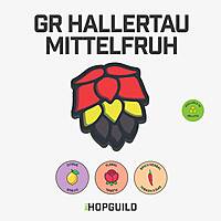 GR Hallertau Mittelfruh