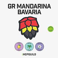 GR Mandarina Bavaria