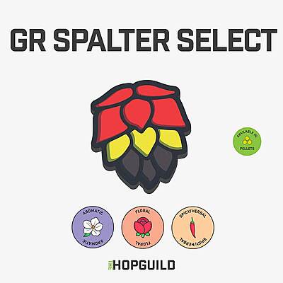 GR Spalter Select