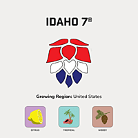 Idaho 7® Hops