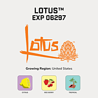 Lotus™ Hops