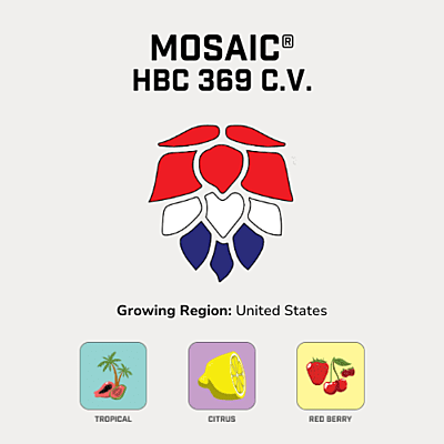 Mosaic® Hops