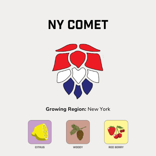 NY Comet Hops