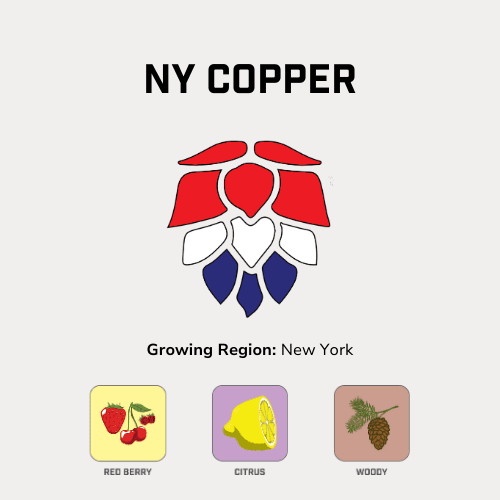 NY Copper™ Hops