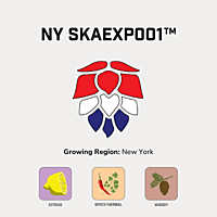 NY SKAEXP001™