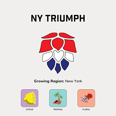 NY Triumph Hops