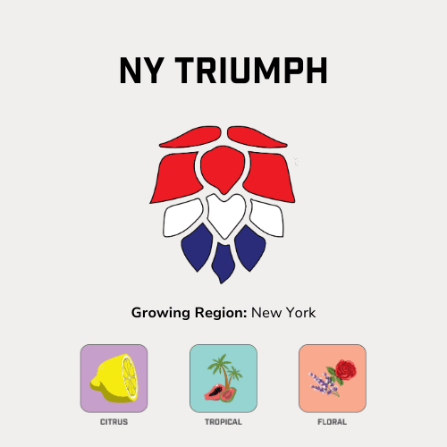 NY Triumph Hops