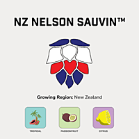 NZ Nelson Sauvin™ Hops