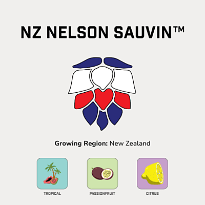 NZ Nelson Sauvin™ Hops