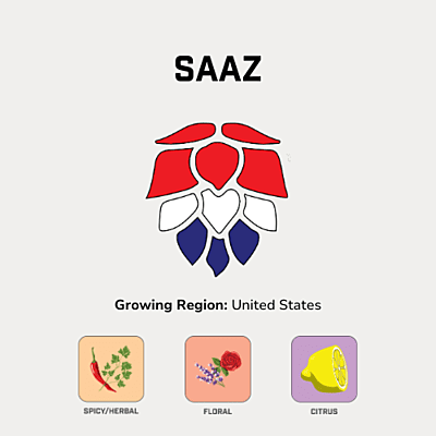 Saaz Hops