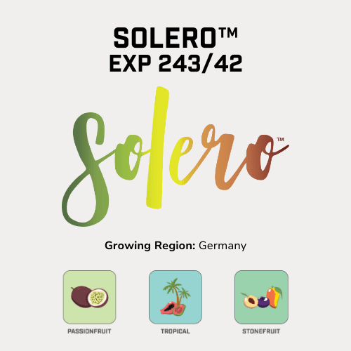 Solero™ Hops