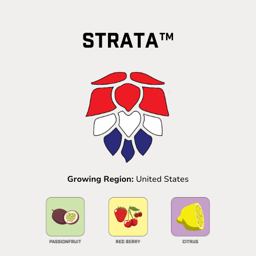 Strata® Hops