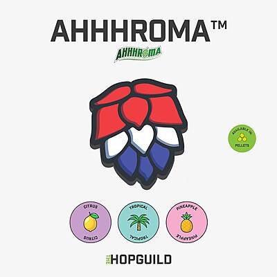 Ahhhroma Hazy Hopzoil 50ml