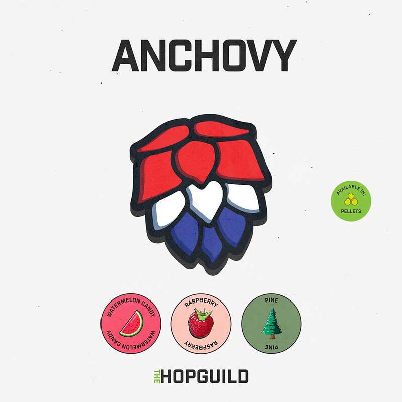 Anchovy Anchovy
