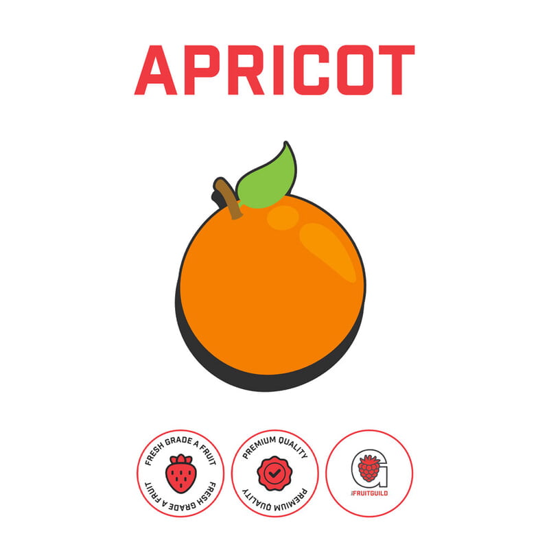 Apricot Puree Case Apricot Puree Case