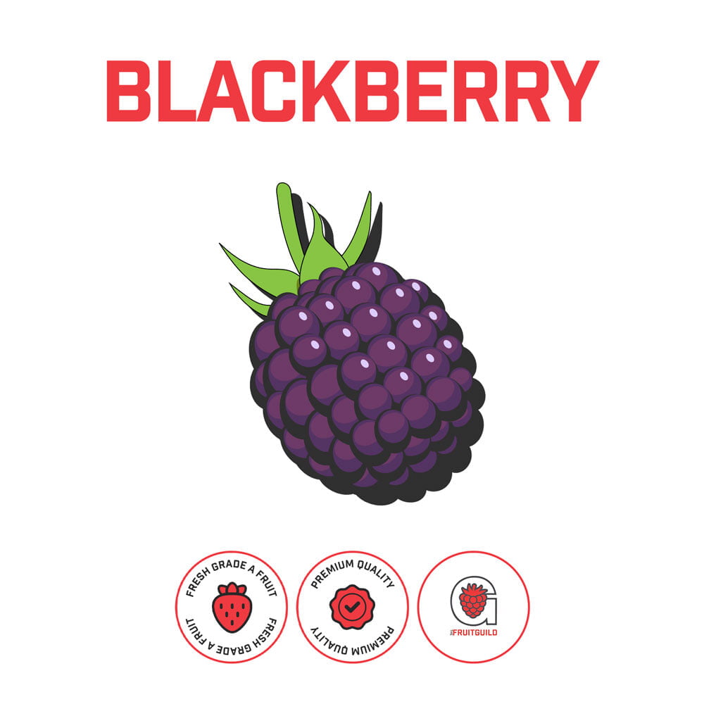 Blackberry Aseptic Fruit Puree - 400 lb Drum or 45 lb Case