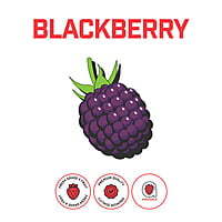 Blackberry Puree Blackberry Puree
