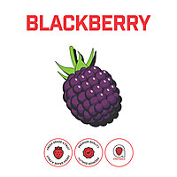 最終値下げbabyBerryBerryStrawberryParfaitjsk黒 Blackberry Aseptic Fruit Puree - 400 lb Drum or 45 lb Case