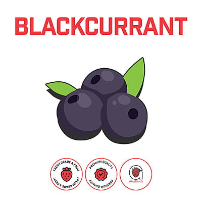 Black Currant Puree