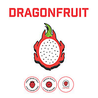 Dragon Fruit Puree Case