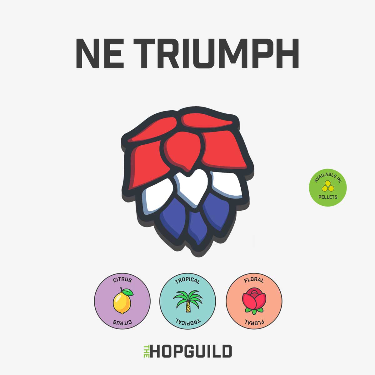 NE Triumph-2024-11 lb bag