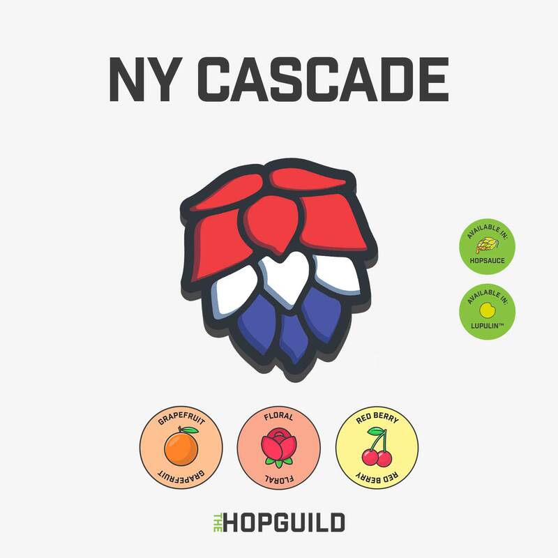 NY Cascade NY Cascade