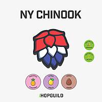 NY Chinook NY Chinook