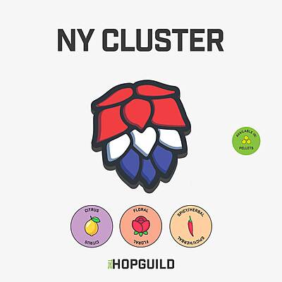 NY Cluster