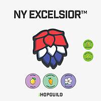 NY Excelsior