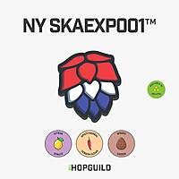 NY SKAEXP001™