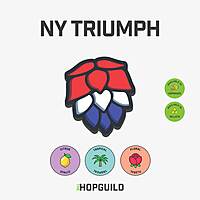 NY Triumph NY Triumph