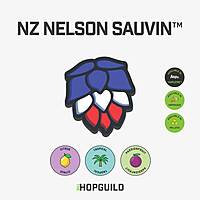 NZ Nelson Sauvin™