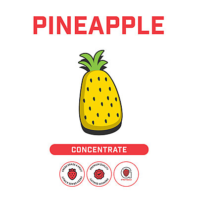 Pineapple Concentrate Case