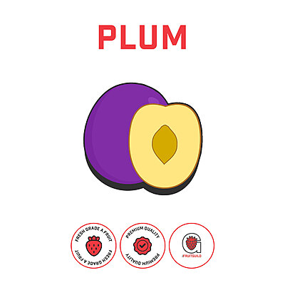 Plum Puree