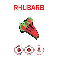 Rhubarb Puree