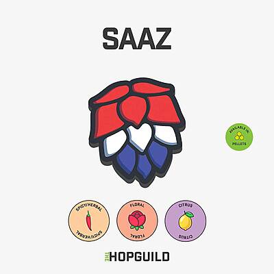 Saaz