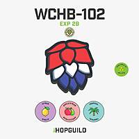 EXP 2B / WCHB-102 EXP 2B / WCHB-102