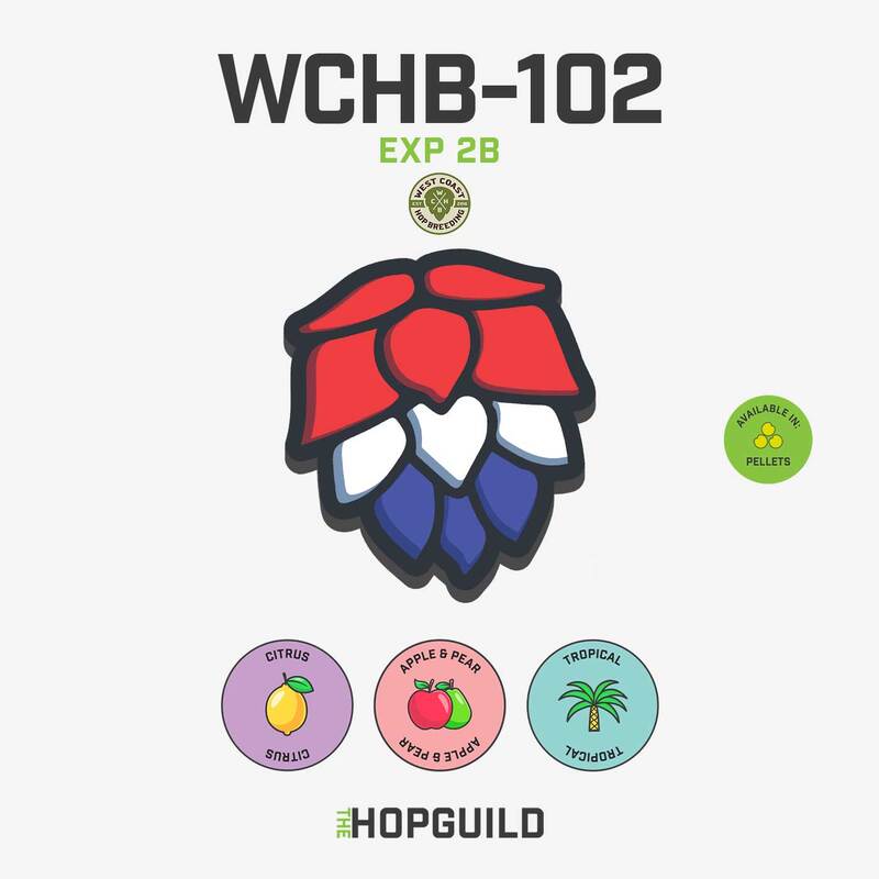 EXP 2B / WCHB-102 EXP 2B / WCHB-102